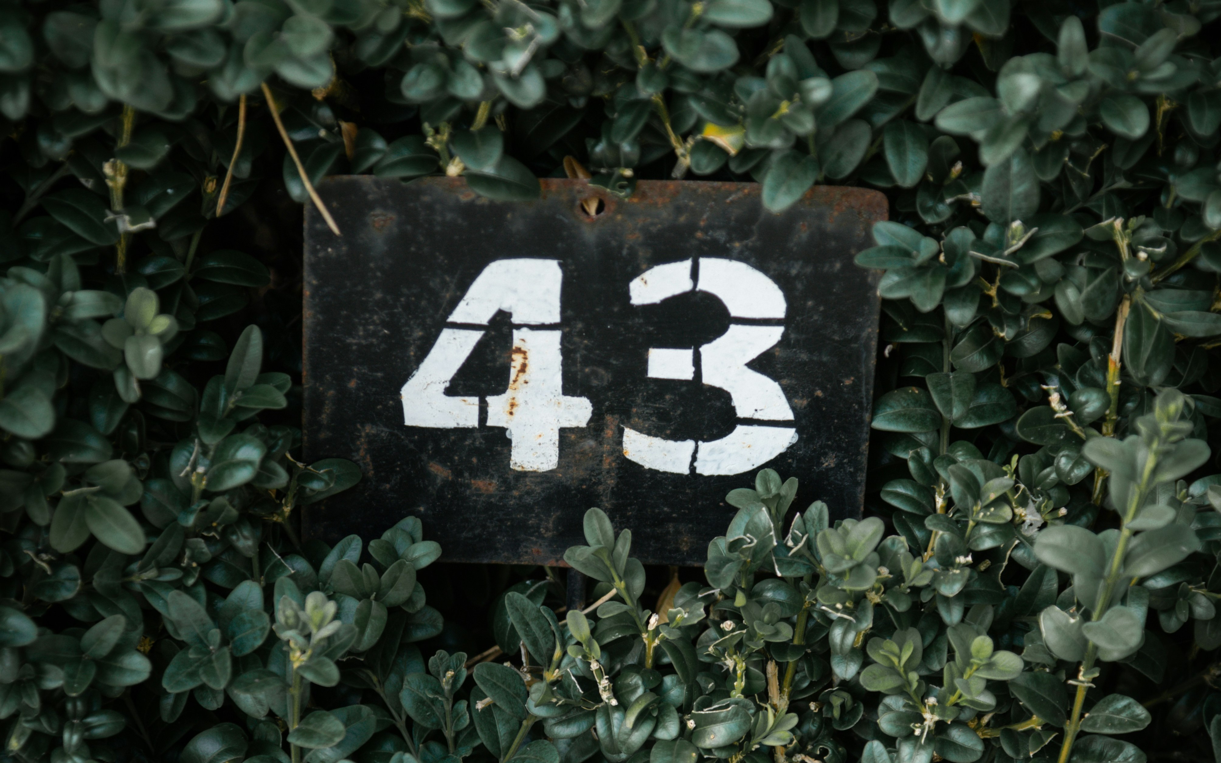 Число 43: значение в нумерологии