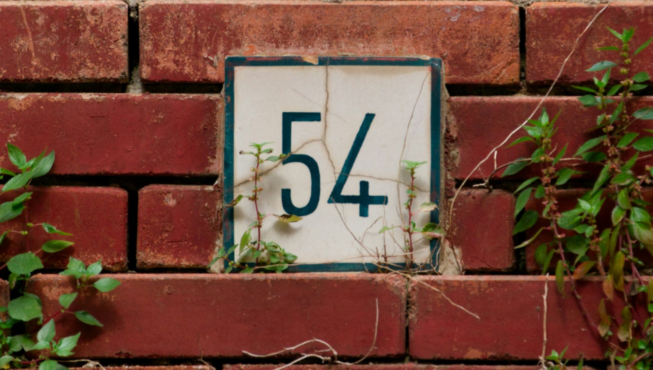 Всё о числе 54