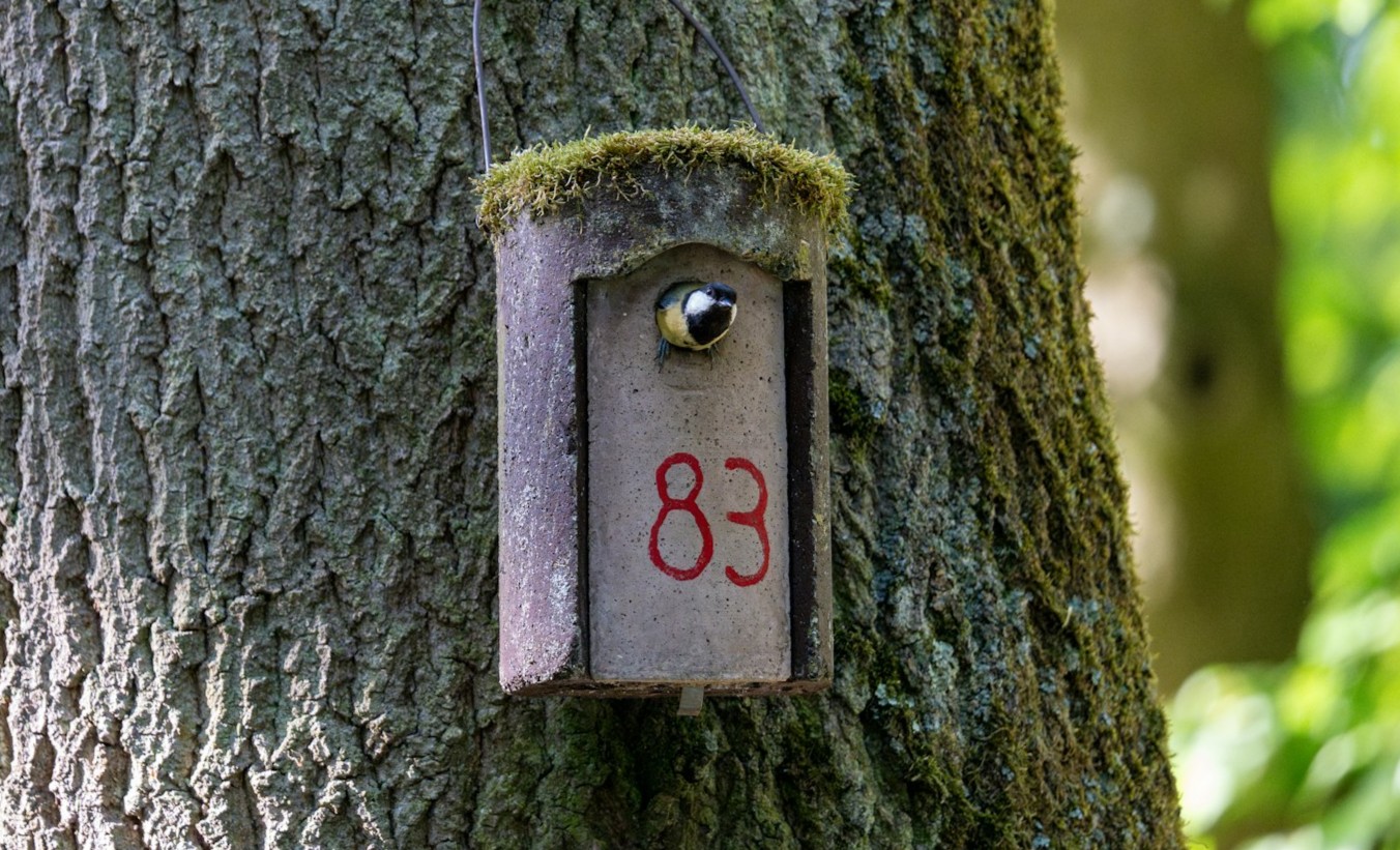 Число 83: значение в нумерологии