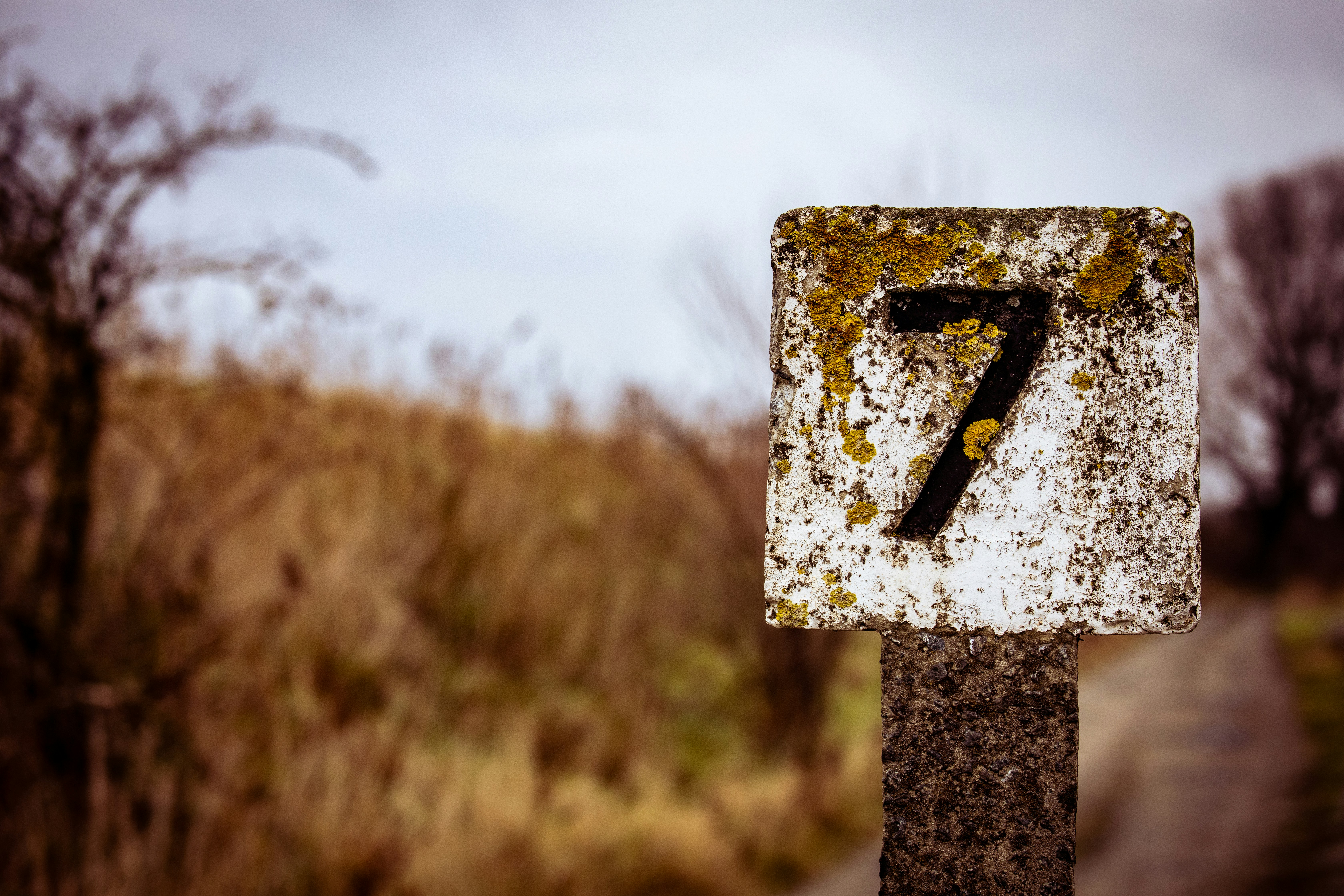 Число 7 значение в нумерологии: энергия мудрости и самопознания