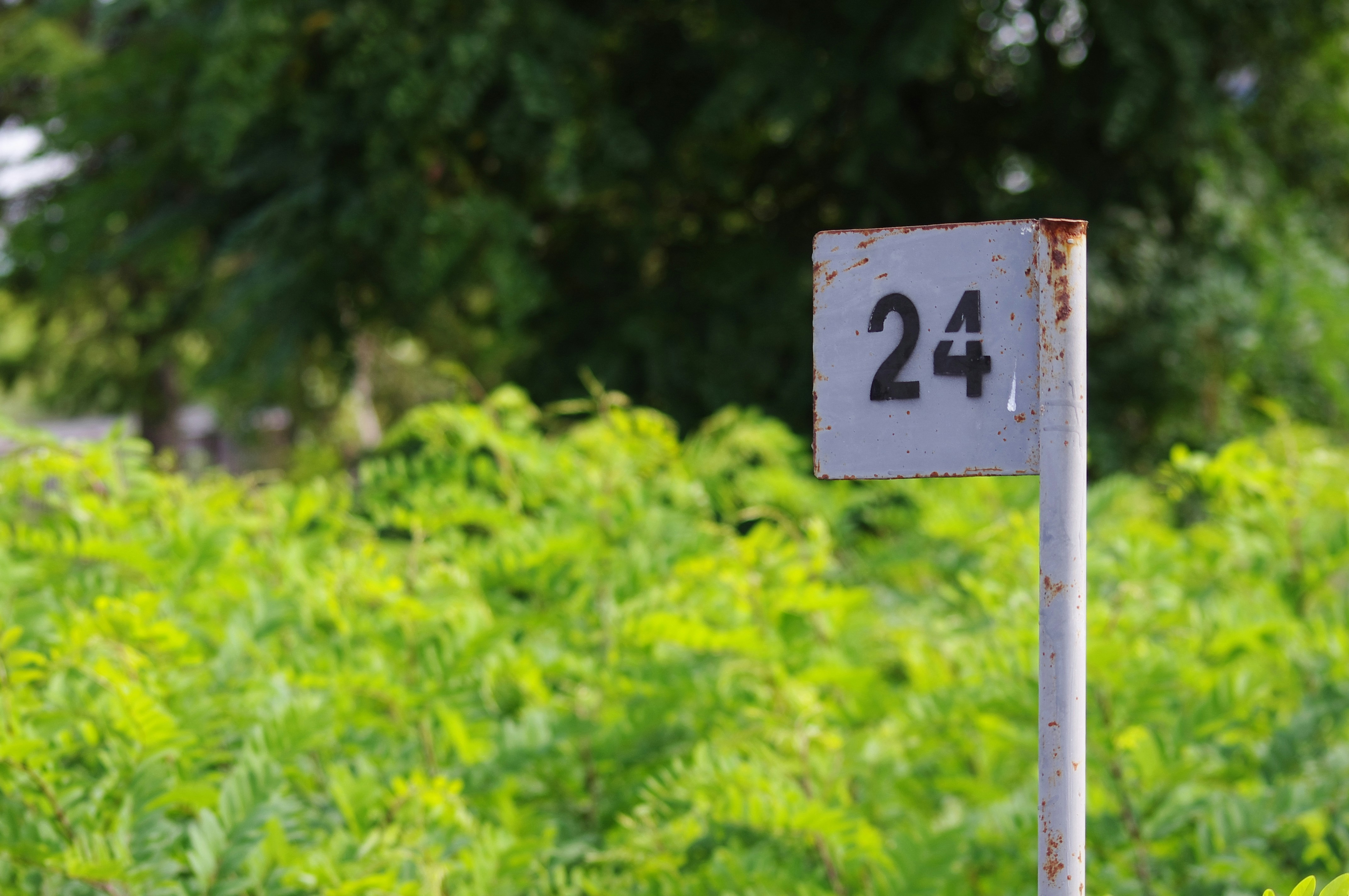 Число 24 значение в нумерологии: практичность и созидание